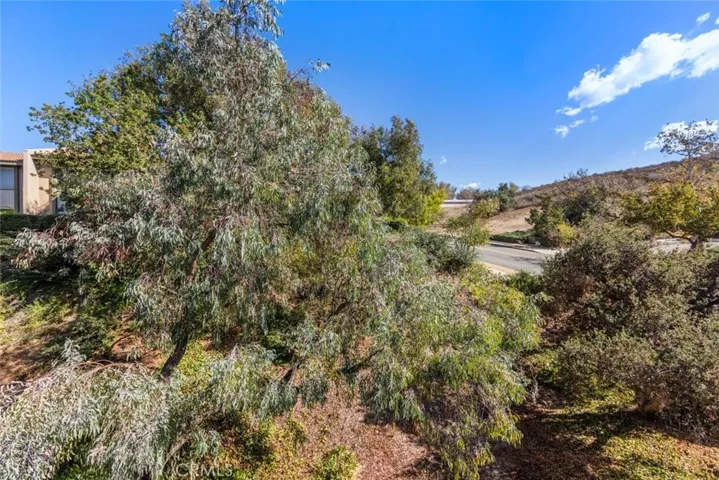 View of trees from balcony