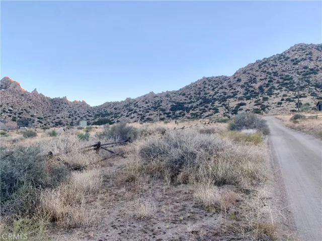 5635 William Hart Road, Pioneertown, California 92268
