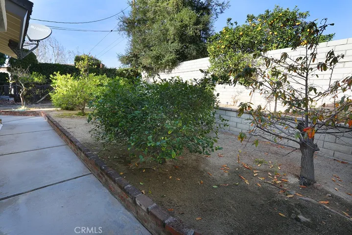 Alternate view