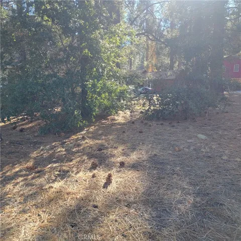 0 Ross, Wrightwood, California 92397