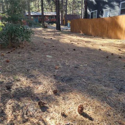 0 Ross, Wrightwood, California 92397
