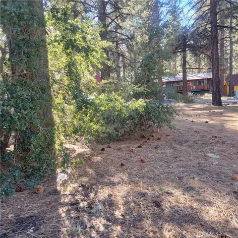 0 Ross, Wrightwood, California 92397