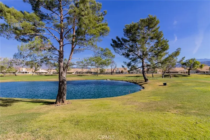 View of duck pond and mountains.