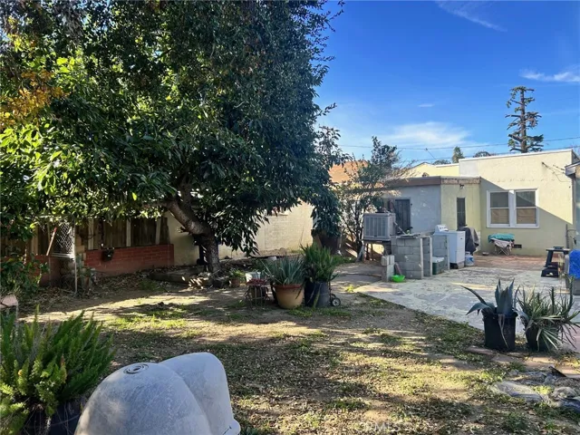 View of the backyard and the avocado tree