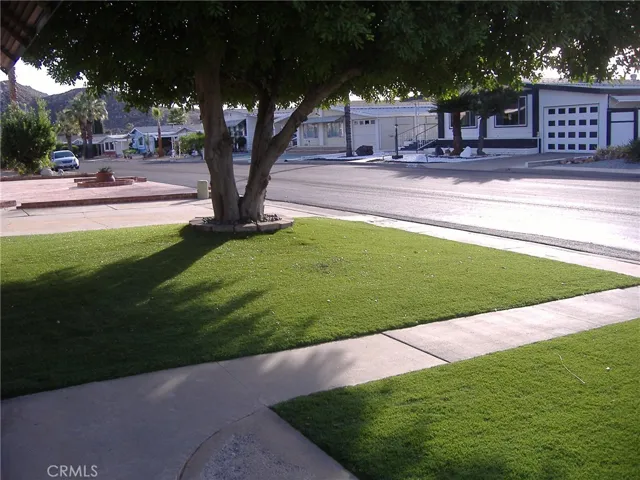 26062 Seaforthia Palm Drive, Homeland, California 92548