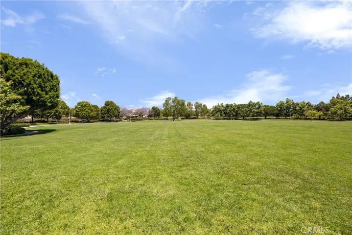 55 Snowdrop Tree, Irvine, California 92606