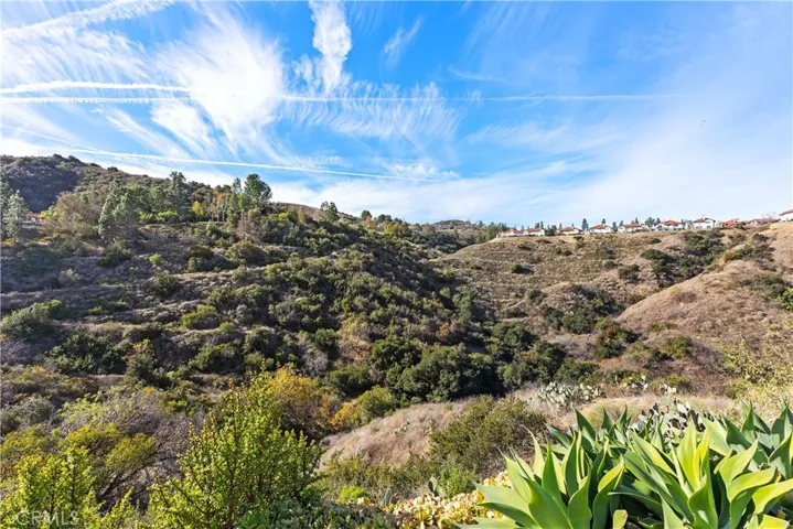 735 S Highland Lane S, Anaheim Hills, California 92807