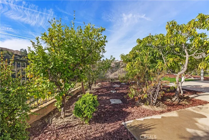 735 S Highland Lane S, Anaheim Hills, California 92807