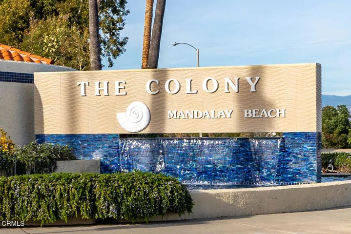 The Colony 6