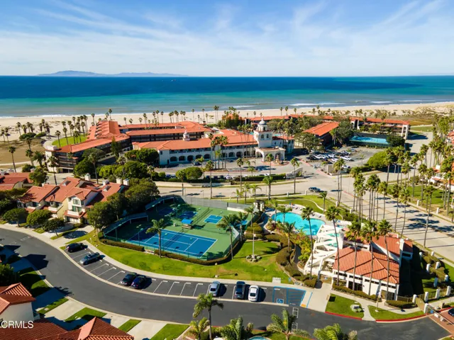 The Colony 7