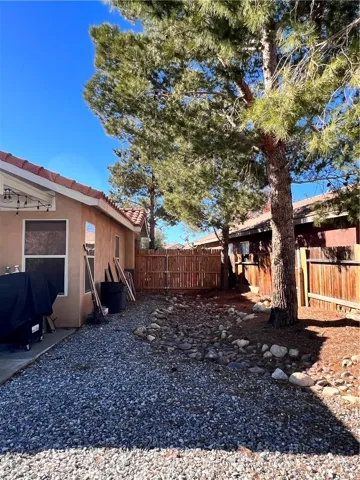 Side of backyard