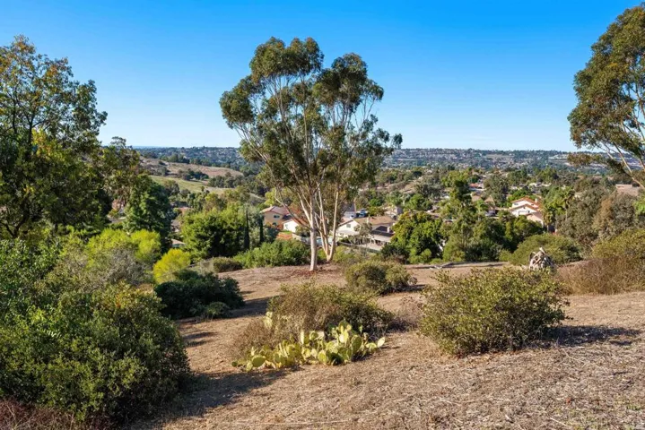 5941 Steeplechase Road, Bonita, California 91902