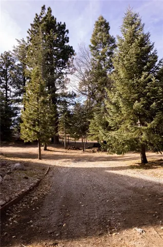 32355 Cape Horn Road, Running Springs, California 92382