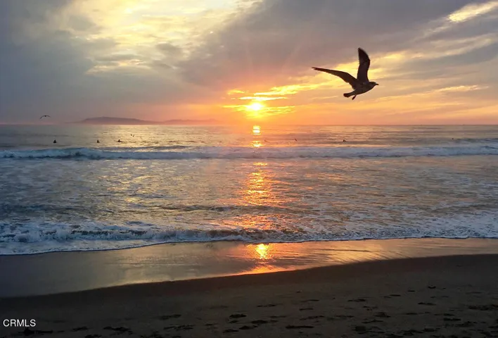 Sunset Photo