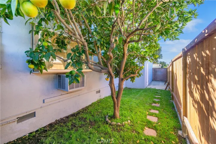 Side yard to the west along the bay window has an orange tree and a cement pad that could be used for additional storage, or a place to put a cord of wood to be used for the 2 fireplaces the home provides :D