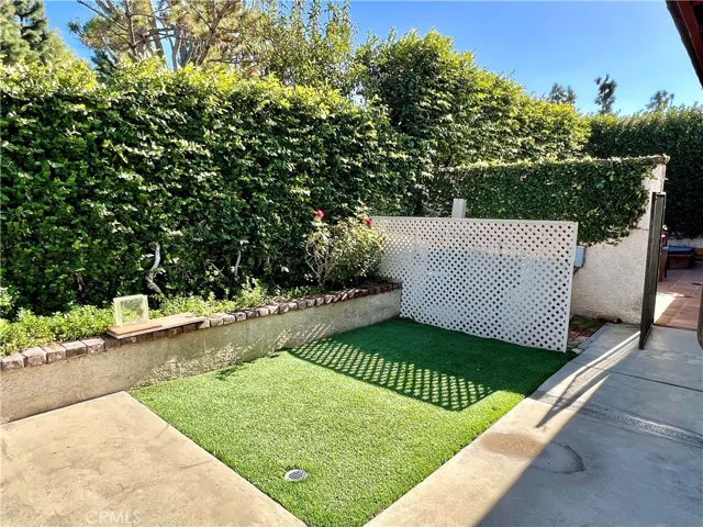 Side Yard