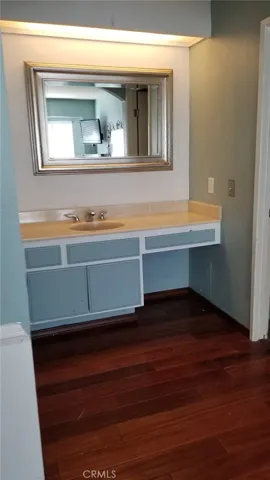 Master vanity area