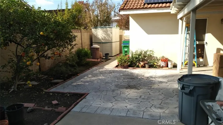 Backyard2