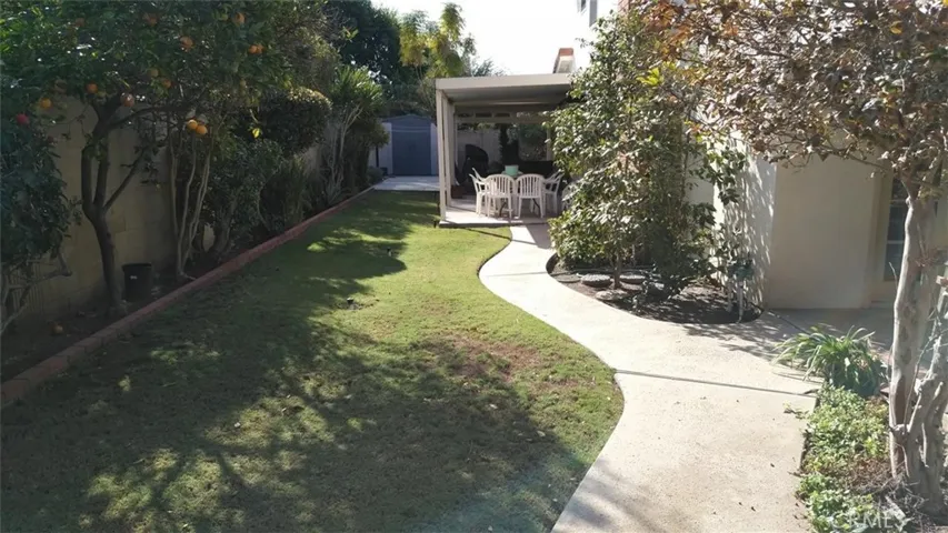 Backyard1