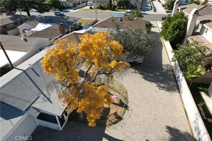 Back House