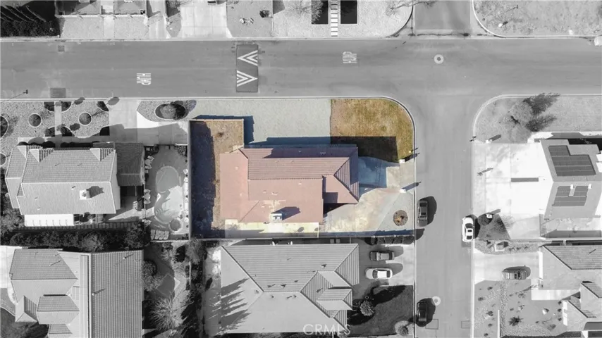 Birds Eye