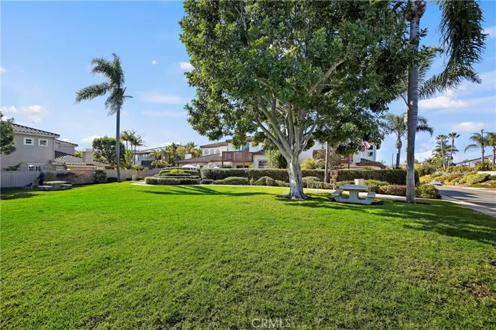 1785 Nerine Way, Carlsbad, California 92011