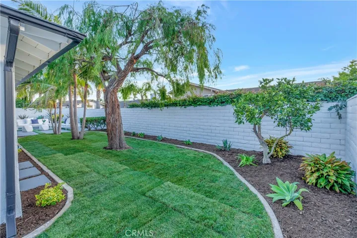 Plentiful Planter Space and Beautiful Pepper Tree Willow