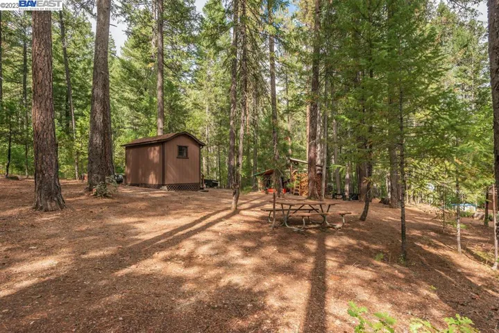 221 Trinity Meadows, Trinity Center, California 96091