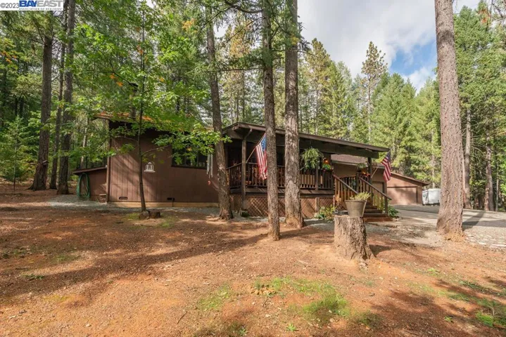 221 Trinity Meadows, Trinity Center, California 96091