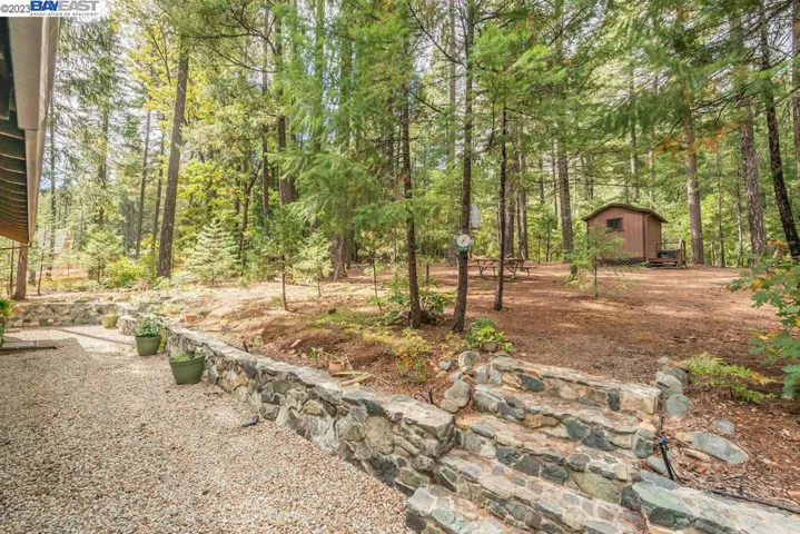 221 Trinity Meadows, Trinity Center, California 96091