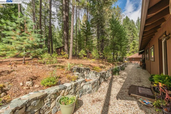 221 Trinity Meadows, Trinity Center, California 96091