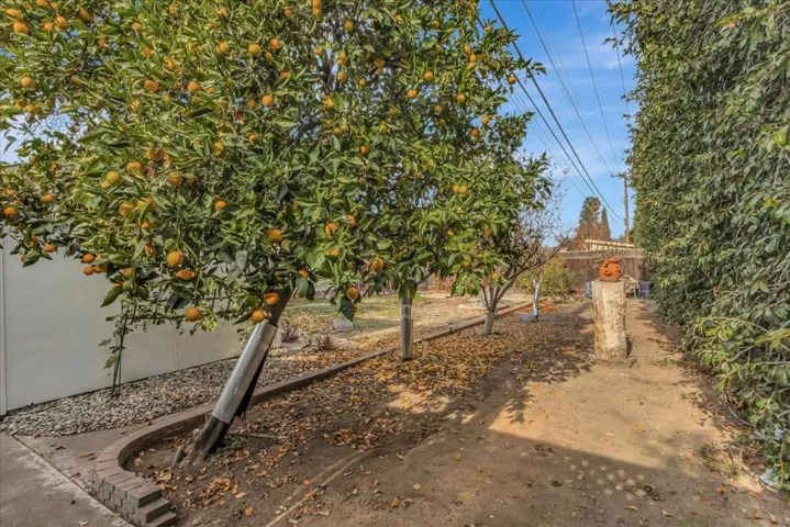 744 S Daniel Way, San Jose, California 95128