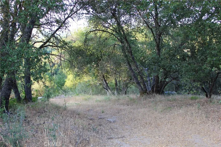 0 3.31 Ac Meadowwood Road, Oakhurst, California 93644
