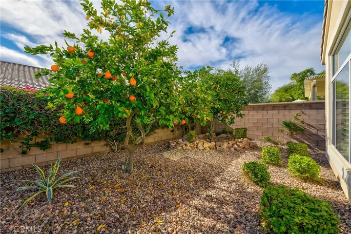 Fruit trees!