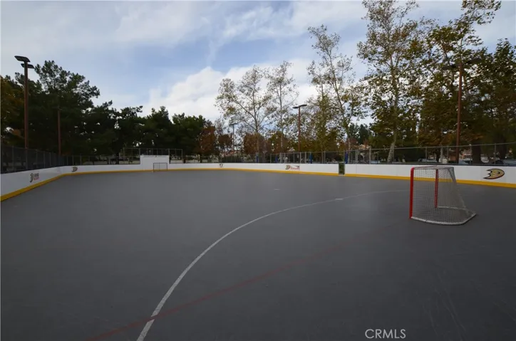 Park next door has a roller hockey rink