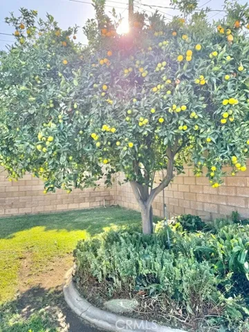 614 Lancer Lane, Corona, California 92879