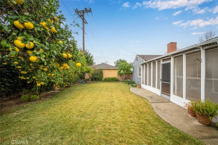 Backyard with mature fruit trees.