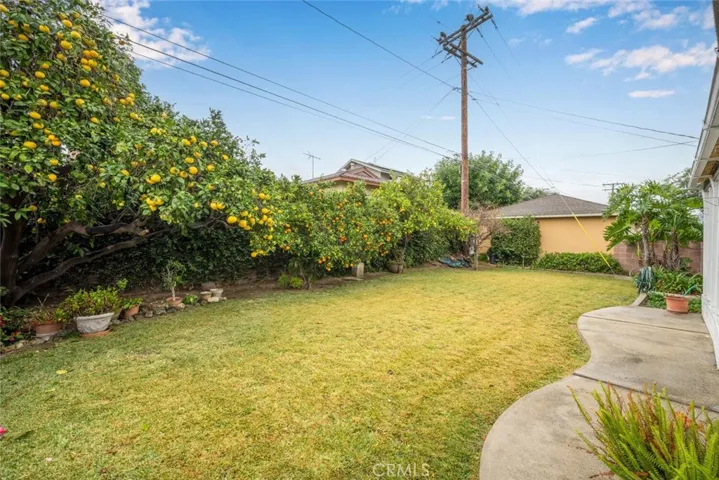 Backyard area