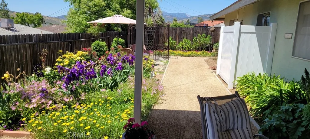 Fenced Backyard