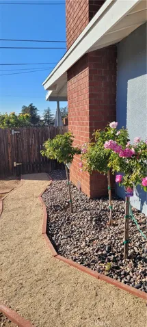 Side Yard