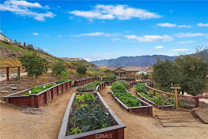 community garden