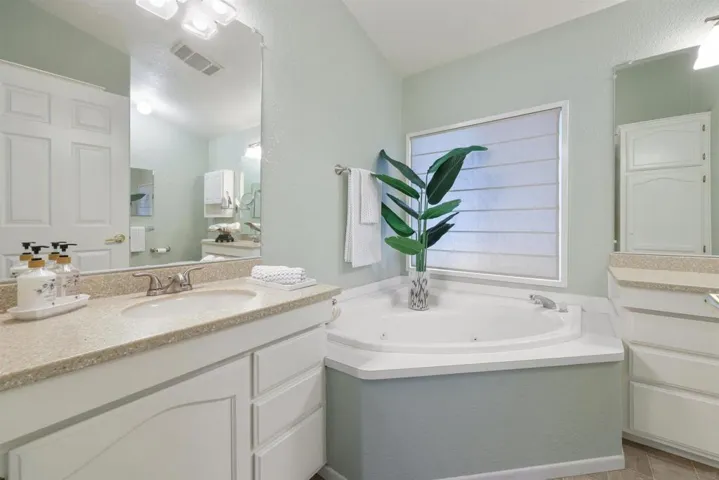 Primary Bath/Spa