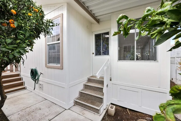 Back Entry