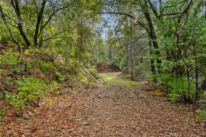 1 Casa Contenta Drive, Somerset, California 95684