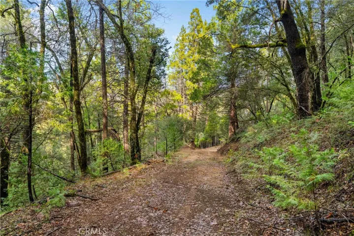 1 Casa Contenta Drive, Somerset, California 95684