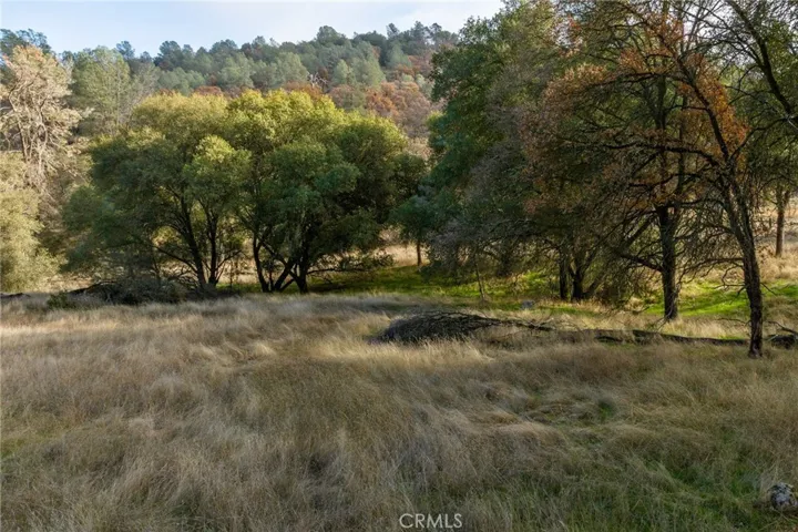 3936 Old Highway, Mariposa, California 95338
