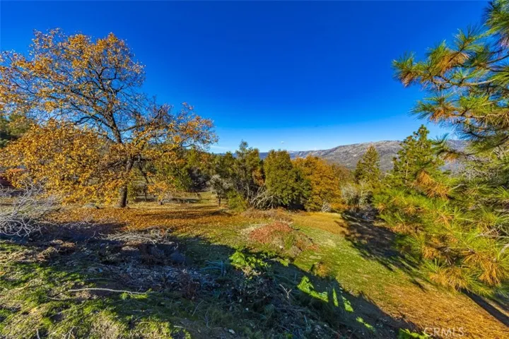 56770 Wild Plum Lane, North Fork, California 93643
