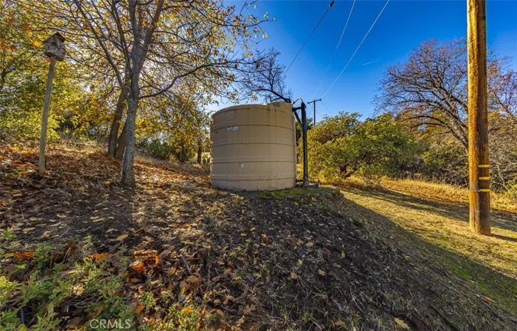 56770 Wild Plum Lane, North Fork, California 93643