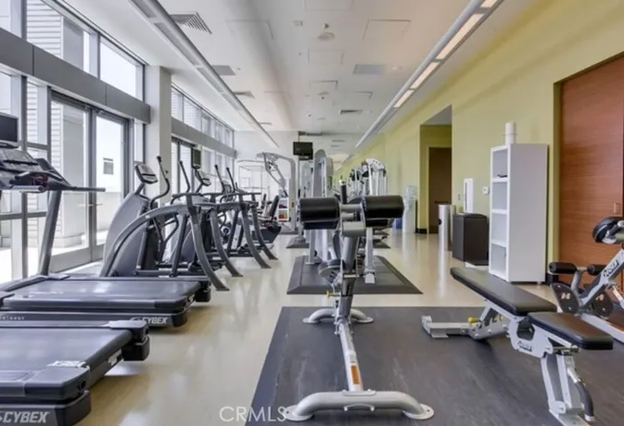 1155 S Grand Avenue 2002, Los Angeles, California 90015