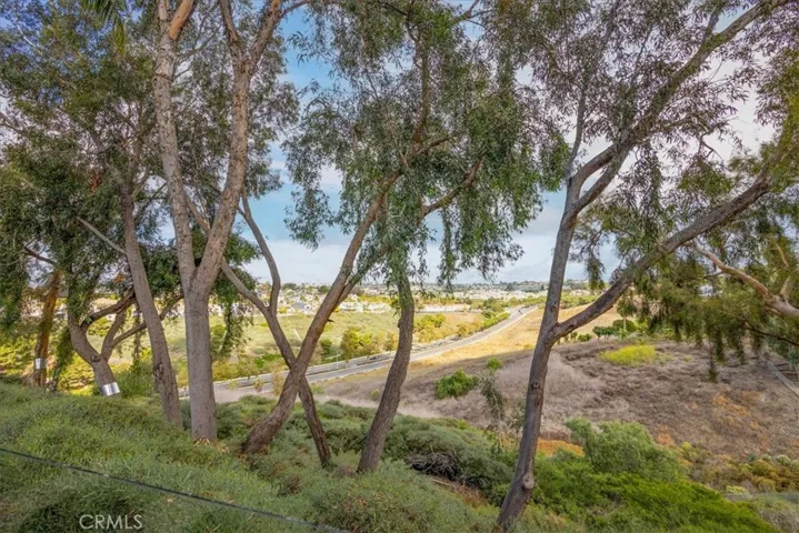 24 Imperatrice, Dana Point, California 92629